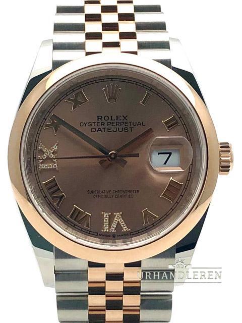 Rolex Datejust 36, Rosé, Romersk, DIA, Jubilee